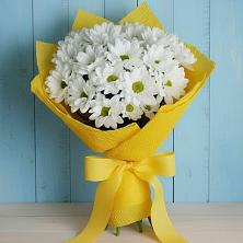 Букет цветов из:  Хризантемы в Дигоре