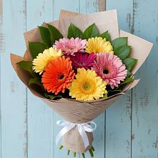 Букет цветов из:  Герберы #REPLACE_PRED# Дигоре