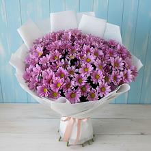 Букет цветов из:  Хризантемы #REPLACE_PRED# Дигоре