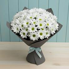Букет цветов из:  Хризантемы в Дигоре