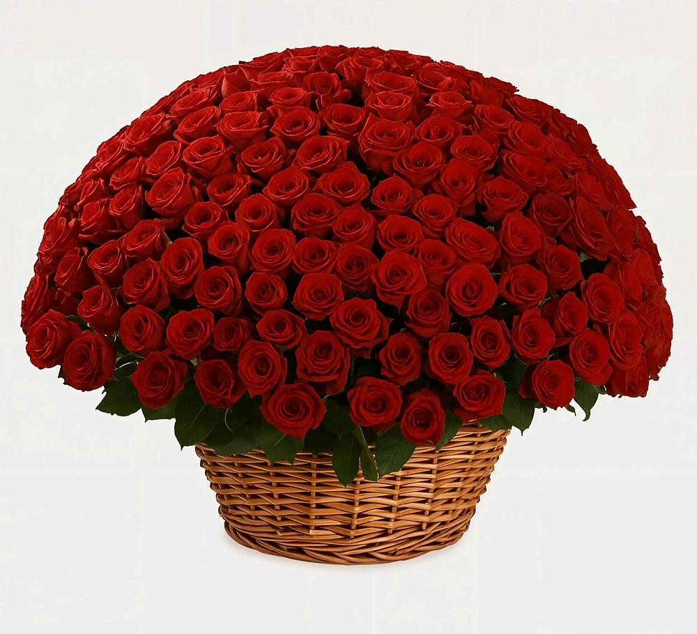 Премиум букет из: Розы в Дигоре