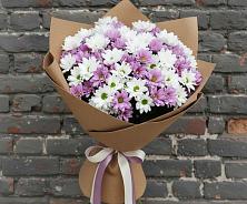 Букет цветов из:  Хризантемы в Дигоре