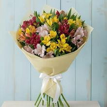 Букет цветов из:  Альстромерии в Дигоре