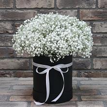 Цветочная композиция из Гипсофила в шляпной коробке #REPLACE_PRED# Дигоре