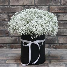 Цветочная композиция из Гипсофила в шляпной коробке в Дигоре