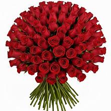 Букет Красные розы Чери Лав в Дигоре