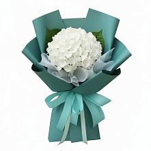 Букет цветов из:  Гортензия в Дигоре